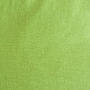 Jerseystoff, grün, Baumwolle, Italien